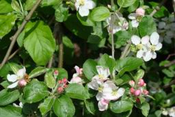 Resize of DSC04299.JPG